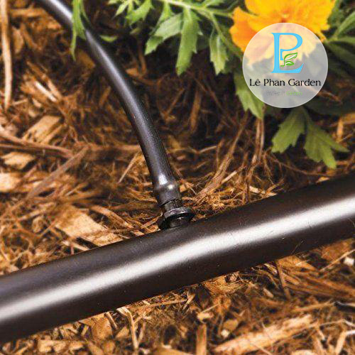 Cách đấu nối ống LDPE 20mm dekko