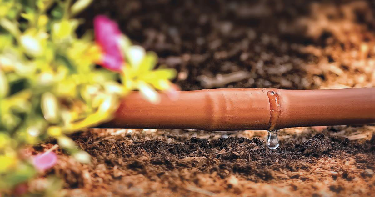 Ống nhỏ giọt DIG Excel 17mm - Lê Phan Garden