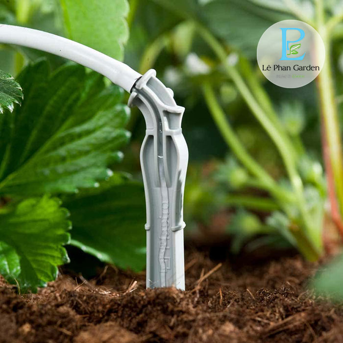Que cắm nhỏ giọt Dripeg Rivulis